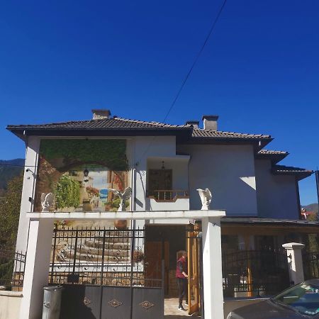 Къща Томови,Стаи За Гости Devin Exterior photo